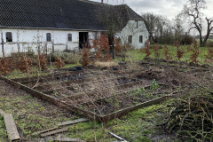 Gamle-højbede